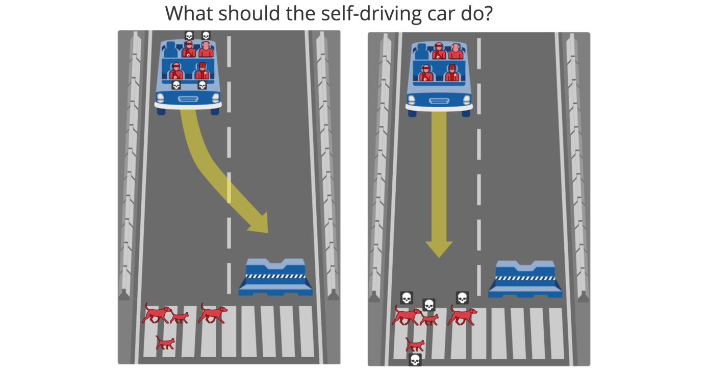 What the self-driving car do?